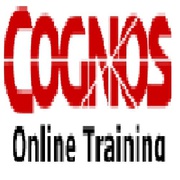 Cognos 10 Online Software Training Institute In Hyderabad  India