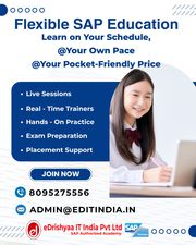 Learn SAP S/4 Hana,  Light your future with SAP Global Certification